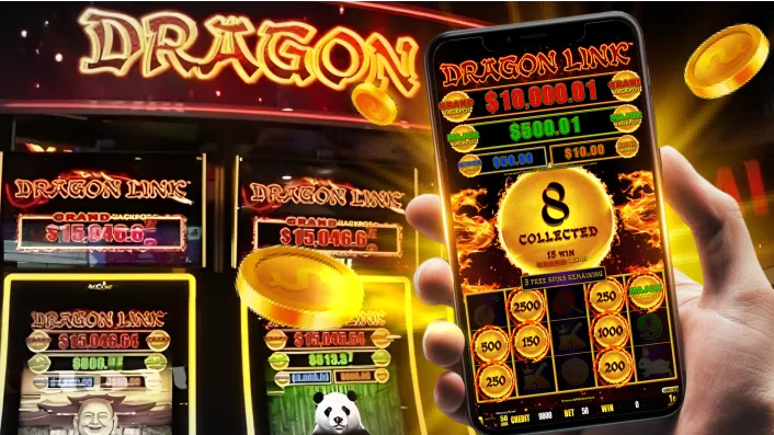 Jili7 Live Casino